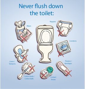 5 things to never flush