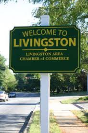 Livingston plumbing services 